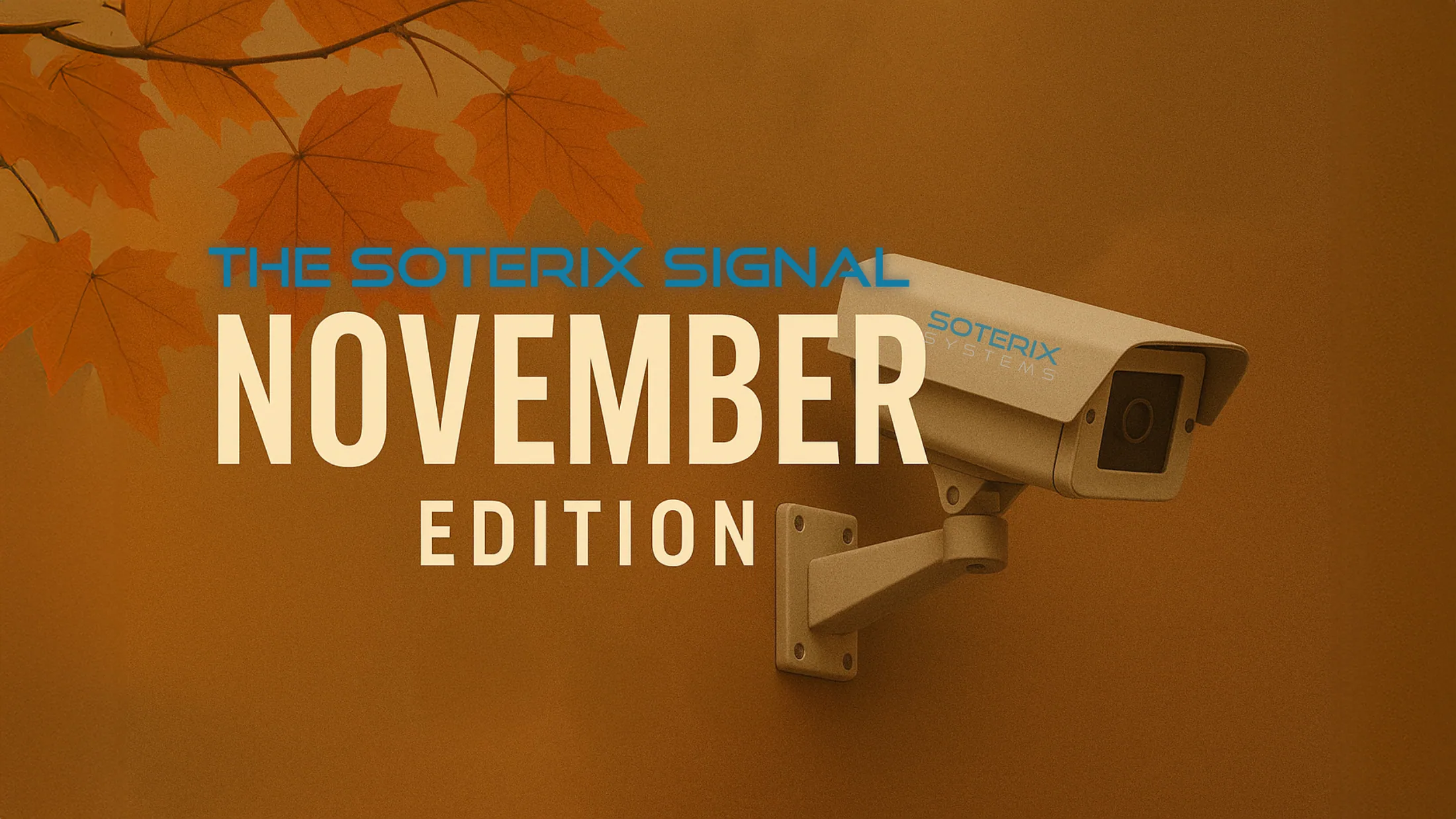 The Soterix Signal Newsletter | November Edition